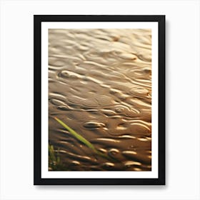 Rain Drops On Water Art Print