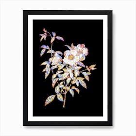 Stained Glass White Rose of Snow Mosaic Botanical Illustration on Black n.0160 Art Print