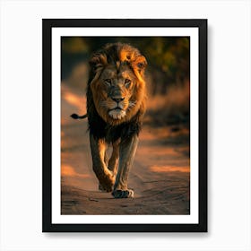 Lion Walking Art Print