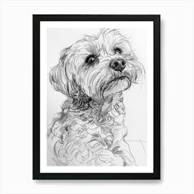 Maltese Dog Line Drawing Sketch 3 Art Print