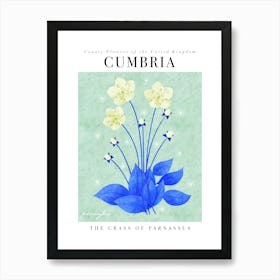 County Flower of Cumbria Grass Of Parnassus Art Print