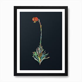 Vintage Scarlet Martagon Lily Botanical Watercolor Illustration on Dark Teal Blue n.0005 Art Print