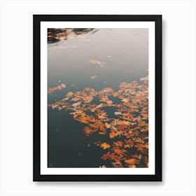 Autumn Leaves On Pond Art Print