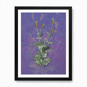 Vintage Spanish Lavender Botanical Illustration on Veri Peri n.0112 Art Print