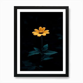 Single Yellow Flower 20 Art Print