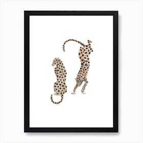 Leopards Art Print