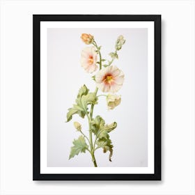 Pressed Flower Botanical Art Hollyhock 2 Art Print