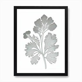 Parsley Herb William Morris Inspired Line Drawing 2 Art Print