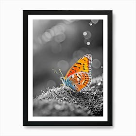 Butterfly In Black And White 1 Art Print