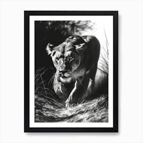 Barbary Lion Charcoal Drawing Lioness 2 Art Print