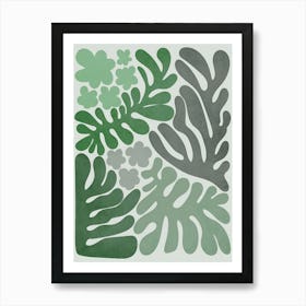 Ferns Art Print