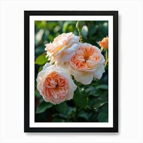 English Roses Painting Vintage Style 2 Art Print