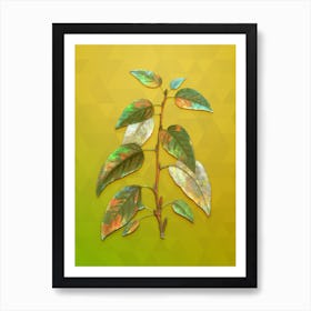 Vintage Balsam Poplar Leaves Botanical Art on Empire Yellow Art Print