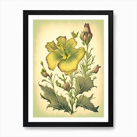 Evening Primrose Wildflower Vintage Botanical 2 Art Print