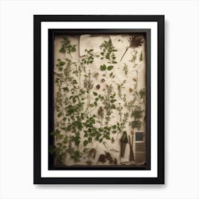 Botanical Specimen Art Print