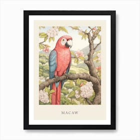 Beatrix Potter Inspired  Animal Watercolour Macaw Art Print