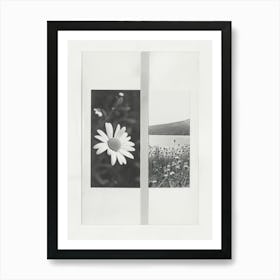 Daisy Flower Photo Collage 4 Art Print