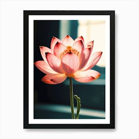 Lotus Flower 5 Art Print