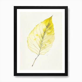 Yellow Birch Leaf Minimalist Watercolour 2 Art Print