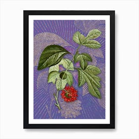 Vintage Paper Mulberry Flower Botanical Illustration on Veri Peri n.0644 Art Print