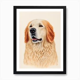 Kuvasz Illustration Dog Art Print