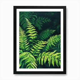 Ferns Art Print