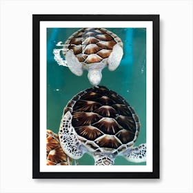 Sea Turtles Art Print