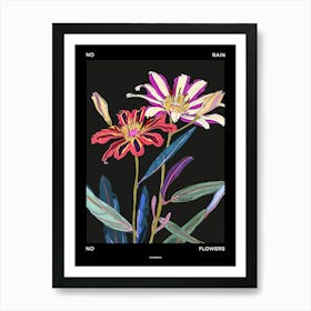 No Rain No Flowers Poster Cineraria 1 Art Print