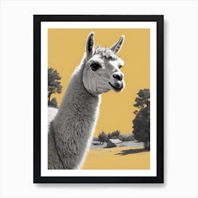 Llama Canvas Print 1 Art Print