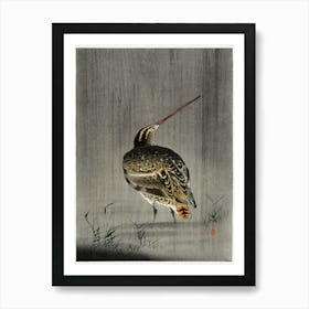 Snipe In The Rain (1900 1930), Ohara Koson Art Print