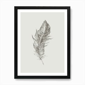 Grey Feather Print 2 Art Print