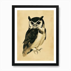 Spectacled Owl Vintage Illustration 2 Art Print