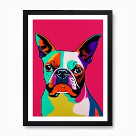 Boston Terrier Andy Warhol Style Dog Art Print