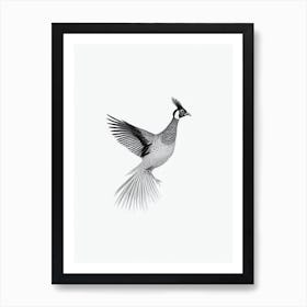 Pheasant B&W Pencil Drawing 4 Bird Art Print