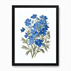 Wild Blue Phlox Wildflower Vintage Botanical 1 Art Print