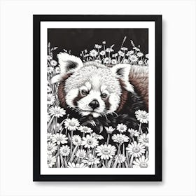 Red Panda Resting In A Field Of Daisies Ink Illustration 2 Art Print
