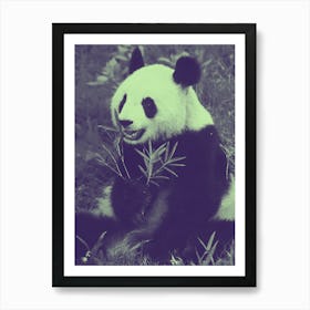 Panda Bear Art Print