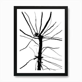 Bare Tree Art Print Art Print