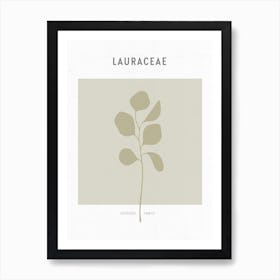 Boho Leaves 2 Lauraceae Art Print