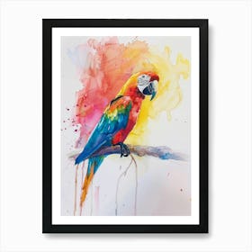 Parrot Colourful Watercolour 1 Art Print