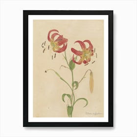 Lily Of The Valley 20 Art Print