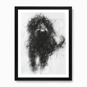 Bergamasco Sheepdog Charcoal Line 1 Art Print