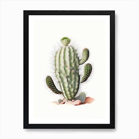 Cylindropuntia Kleiniae Marker Art Art Print