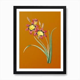 Vintage Ixia Tricolore Botanical on Sunset Orange n.0345 Art Print