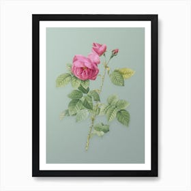 Vintage Pink Bourbon Roses Botanical Art on Mint Green n.0716 Art Print