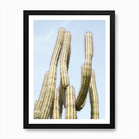 Tropical Cactus Plant Art Print