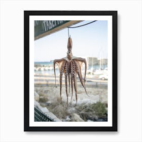 Dried Octopus Hanging Outdoors Art Print