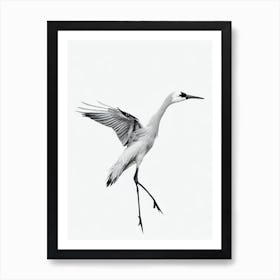 Crane B&W Pencil Drawing 1 Bird Art Print