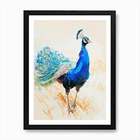 Peacock Walking Sketch Art Print