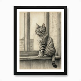 Cat On A Window Sill Art Print